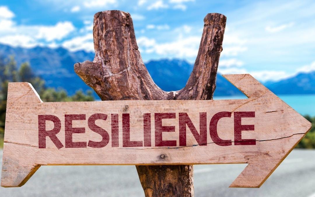 Resilience: Mental Health in Stressful Times