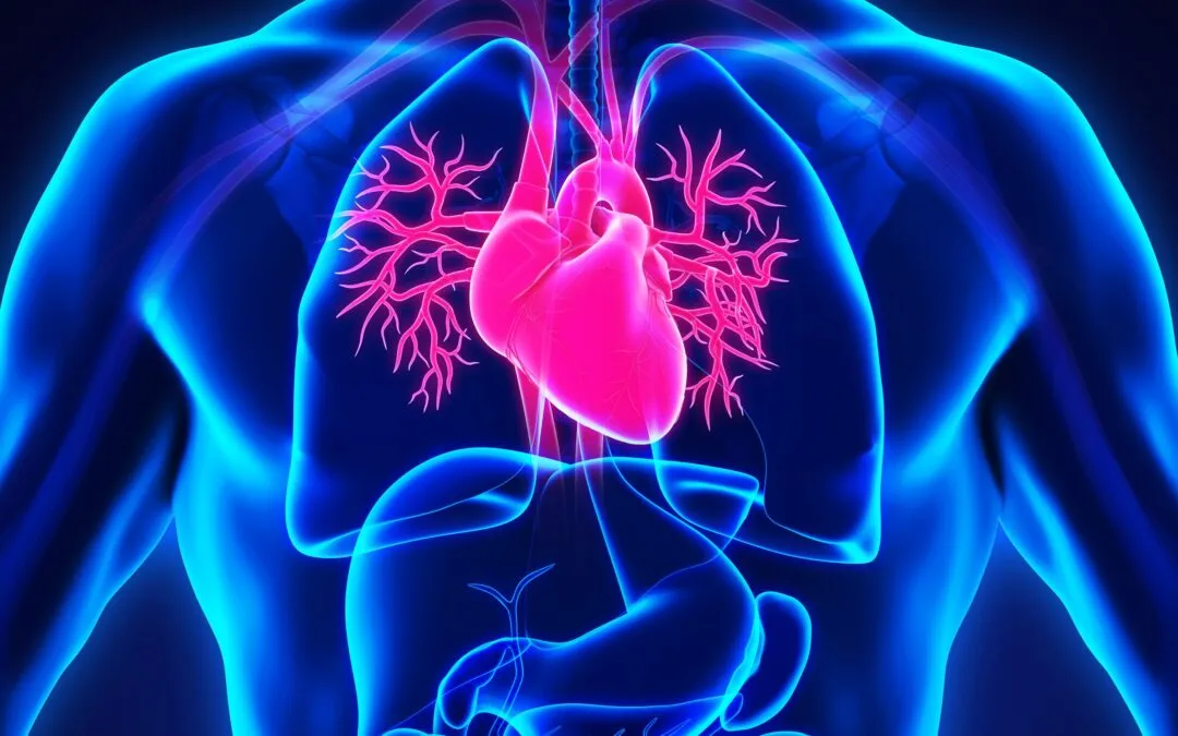Heart Health Webinar